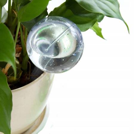 Big irrigation ball for flowers water dispenser - transparent